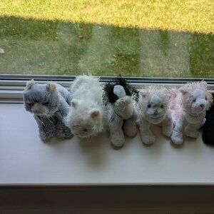 Let's Get Catty!! Webkinz Cats - No Codes